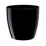 vaso rio nero